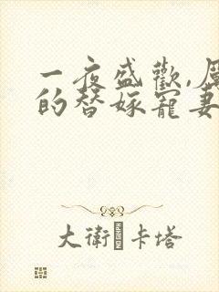 一夜盛欢,厉少的替嫁宠妻