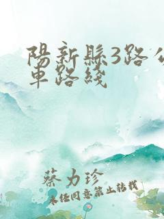 阳新县3路公交车路线