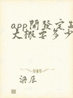 app开发定制大概要多少钱