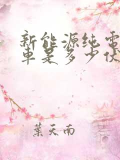 新能源纯电动轿车是多少伏电的