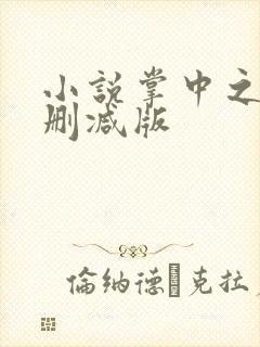 小说掌中之物未删减版