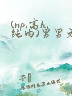 (np,高h,纯肉)男男文