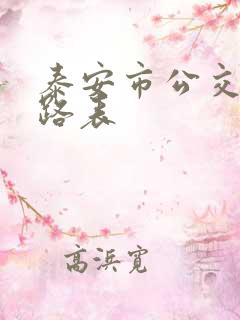 泰安市公交车线路表