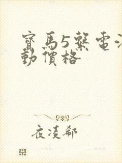 宝马5系电油混动价格