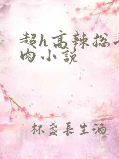 超h高辣总受纯肉小说