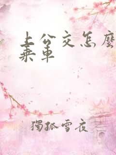 上公交怎么扫码乘车