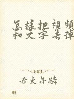 怎样把视频原声和文字去掉