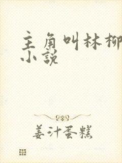 主角叫林柳儿的小说