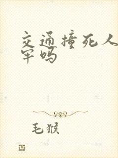 交通撞死人会坐牢吗