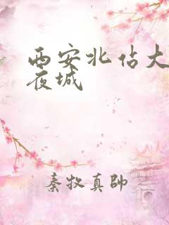 西安北站大唐不夜城