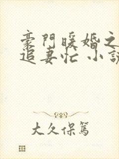 豪门暖婚之四爷追妻忙 小说