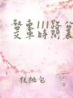 启东111路公交车时间表