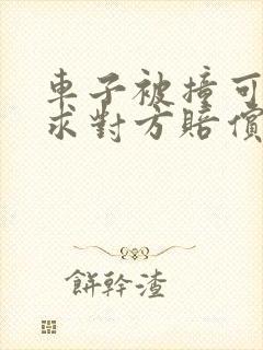 车子被撞可以要求对方赔偿误工费吗