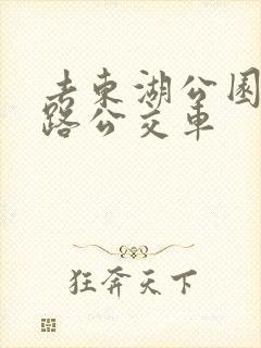 去东湖公园坐几路公交车