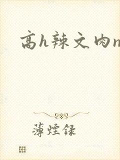 高h辣文肉np