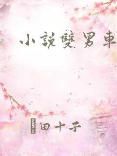 小说双男车文