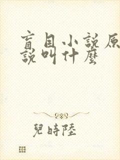 盲目小说原著小说叫什么