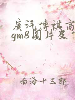 广汽传祺商务车gm8图片及价格