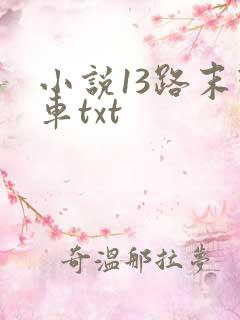 小说13路末班车txt
