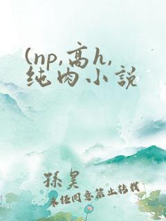 (np,高h,纯肉小说 (np,高h,纯肉小说