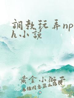 调教玩弄np高h小说