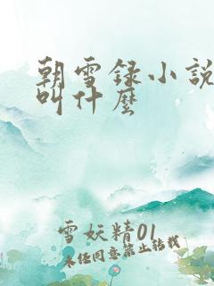 朝雪录小说原著叫什么
