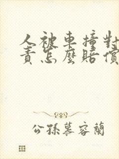人被车撞对方全责怎么赔偿 人被车撞对方全责怎么赔偿