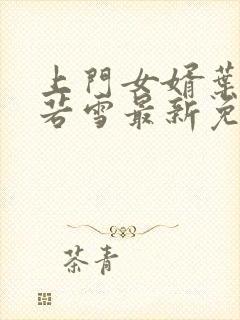 上门女婿叶凡唐若雪最新免费阅读