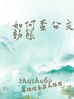 如何查公交实时动态