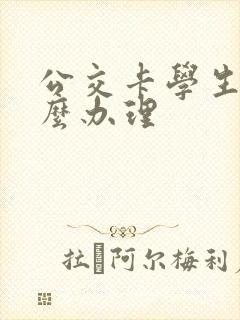 公交卡学生卡怎么办理