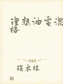 理想油电混动价格
