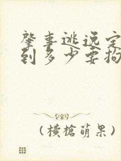 肇事逃逸定损达到多少要拘留