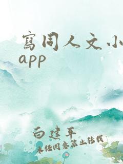 写同人文小说的app