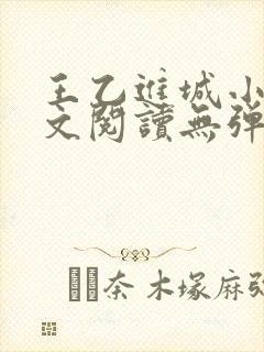 王乙进城小说全文阅读无弹窗