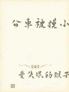 公车被摸小说 公车被摸小说