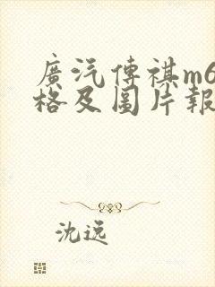 广汽传祺m6价格及图片报价2019
