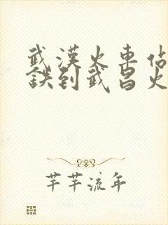 武汉火车站坐地铁到武昌火车站要多久