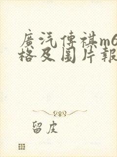 广汽传祺m6价格及图片报价2019 广汽传祺m6价格及图片报价2019