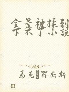 金晨被揉到高潮下不了小说