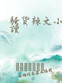 骚货辣文小说阅读