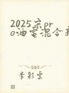 2025宋pro油电混合新款