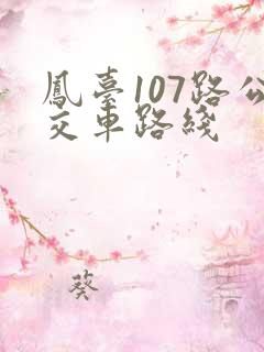 凤台107路公交车路线