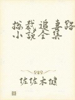 总裁追妻路漫漫小说全集