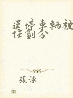 违停车辆被撞责任划分