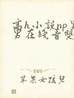 高h小说np男男在线看双性