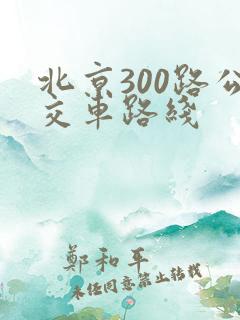 北京300路公交车路线
