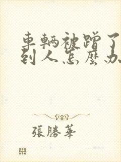车辆被蹭了找不到人怎么办