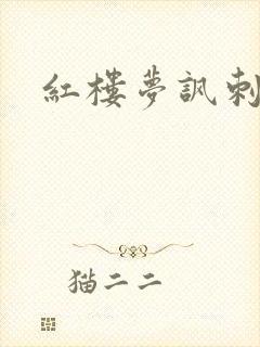 红楼梦讽刺清朝