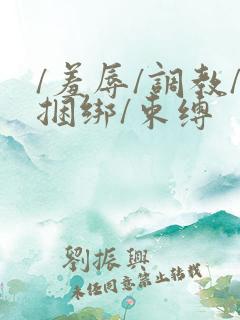 /羞辱/调教/捆绑/束缚