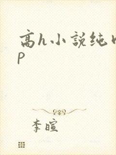 高h小说纯肉np